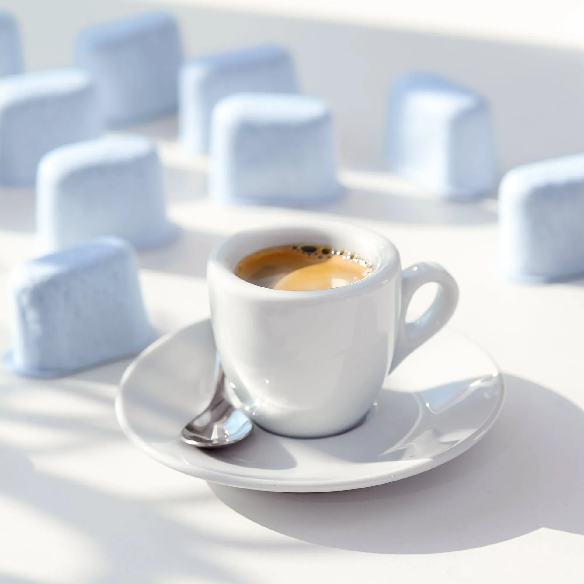 12 Pack Breville BWF100 Water Filters - Activated Charcoal Replacement Filters Compatible with Breville Espresso Machines BES870XL, BES840XL, BES920XL, BES980XL, BKC600XL, BKC700XL