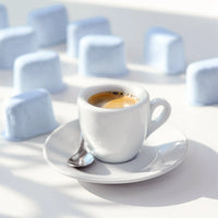 12 Pack Breville BWF100 Water Filters - Activated Charcoal Replacement Filters Compatible with Breville Espresso Machines BES870XL, BES840XL, BES920XL, BES980XL, BKC600XL, BKC700XL