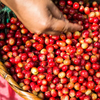 100% Arabica Ground Coffee for Reusable K-Cups – Medium Roast, Smooth Flavor