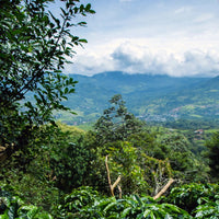 100% Arabica Ground Coffee for Reusable K-Cups – Medium Roast, Smooth Flavor