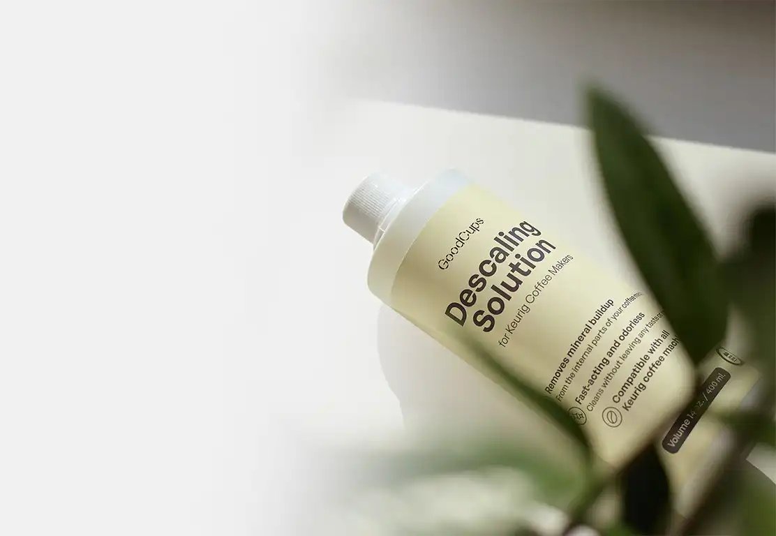 Descaling solution bottle with a plant in the foreground