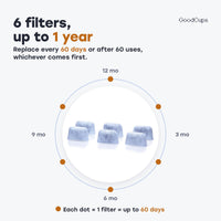 6 filters, up to 1 year: replace every 60 days or after 60 uses, whichever comes first