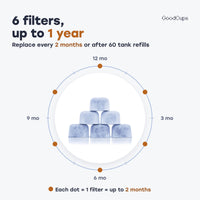 6 filters, up to 1 year: replace every 2 months or after 60 tank refills