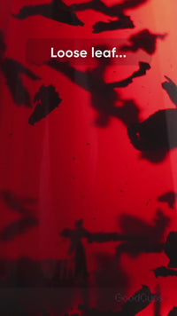 Stainless Steel Tea Infuser – Fine Mesh Loose Leaf Strainer with Lid & Chain | Small