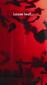 Stainless Steel Tea Infuser – Fine Mesh Loose Leaf Strainer with Lid & Chain | Large