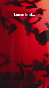 Stainless Steel Tea Infuser – Fine Mesh Loose Leaf Strainer with Lid & Chain | Medium