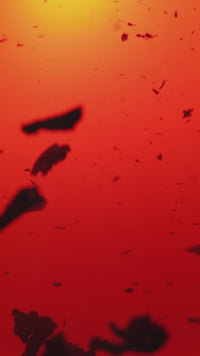 Stainless Steel Tea Infuser – Extra Fine Mesh Loose Leaf Strainer with Lid & Handles | Black